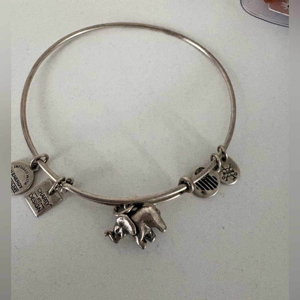 Alex and Ani Silver Charm Bracelet